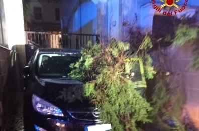 Pioggia e vento sferzano il Salento: a Casarano un albero cade su due auto
