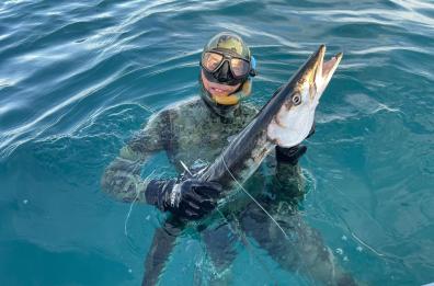 Sorpresa nel Salento, un sub cattura un barracuda di 8 chili 
