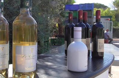 Torna a San Severo Autunno in gusto: vino e olio da assaporare