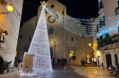 Bari si veste a festa con l'albero di Natale donato da Maldarizzi