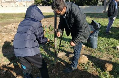 Andria, piantati primi alberi del bosco dedicato a Enza Angrisano: «Il nome vivrà in eterno»