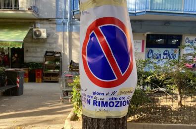 Barletta, nuovi alberi da piantare per una  città più verde