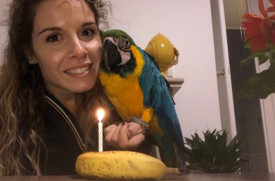 Fasano, la storia di Annamaria la donna che sussurrava agli animali