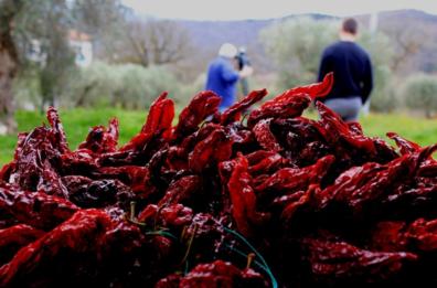 Peperone di Senise, il suo aroma è rappresentativo della regione Basilicata 