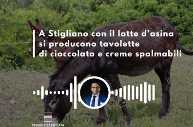 Basilicata in podcast: prodotti innovativi e unici sul mercato con il latte d'asina