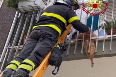 Lecce, il cane penzola dal balcone: salvato dai vigili del fuoco