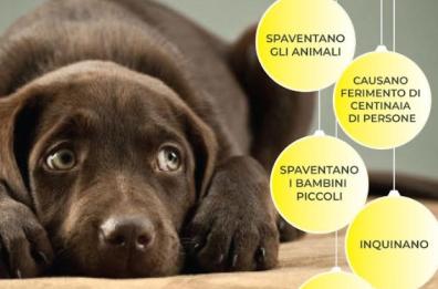 Matera dice  «no» ai botti di Capodanno anche quest'anno