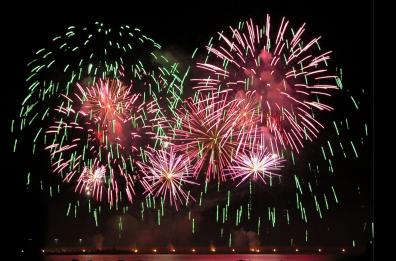 Botti di capodanno e amici a quattro zampe
