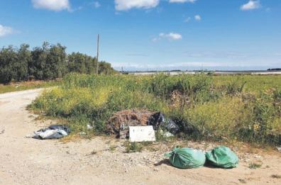 Trani, aree rurali: ecco la sorveglianza