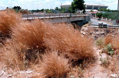 Bari, Torre Tresca come una discarica: servono 240 giorni per i lavori di bonifica