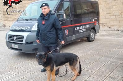 Surbo, un arresto per ricettazione e detenzione illegale di arma da fuoco