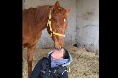 Lagonegro, chi ha sparato al puledro Rio? «Temo sia atto intimidatorio»