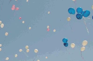 Bisceglie, stop al rilascio in volo di palloncini :«Il Comune deve vietarli, inquinano»