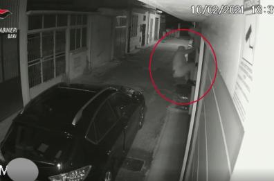 Furti a tappeto, rapine, ricettazione: operazione tra Bari e Sannicandro, 8 indagati
