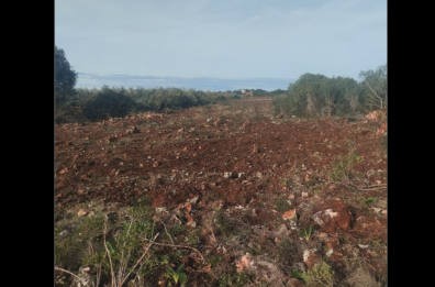 Macchia mediterranea sfregiata a Maruggio: sequestrata area di 6mila mq