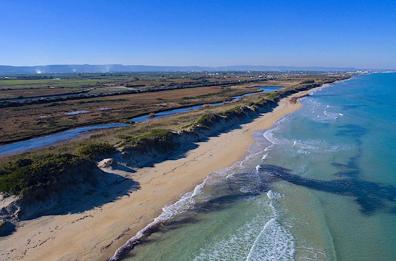 Dune ai privati, arriva il dietrofront dalla Regione Puglia