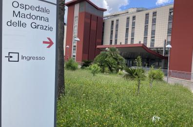 Donna muore a 56 anni: a Matera donati fegato, reni e cuore