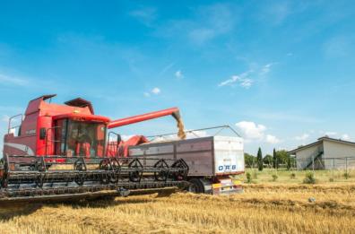 Tornare nei campi avviando un’azienda agricola? Per i giovani lucani c’è il «Green youth village»