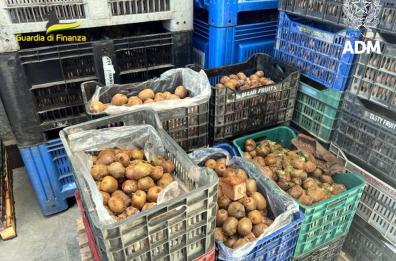 Sigarette di contrabbando nascoste tra i kiwi: 5 tonnellate scoperte in porto Bari