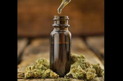 «La cannabis light si può vendere», a Bari restituite 400 boccette a un negozio