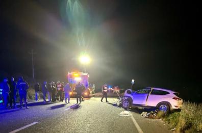Ginosa, furgone uccide un cinghiale sulla Sp 580, donna muore non riuscendo ad evitarne la carcassa