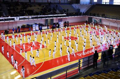 Taekwondo, Fitsport pronta per una nuova stagione nella Bat