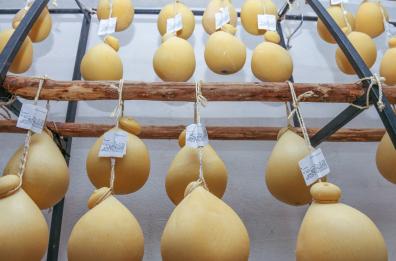 Basilicata, aglianico e caciocavallo: il commercio si allarga
