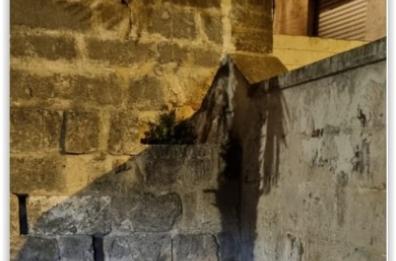 Shock a Oria, gattino dato alle fiamme nel centro della città