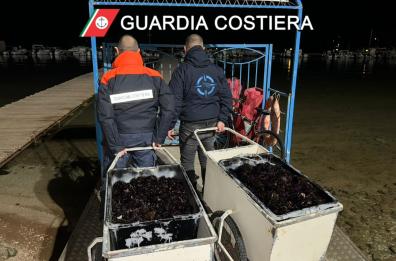 Pesca di frodo a Porto Cesareo e nel Tarantino: sequestrati polpi e ricci