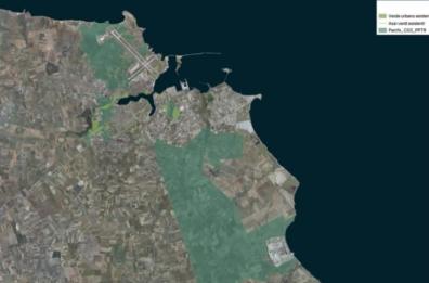 Brindisi, che fine fa la foresta urbana?