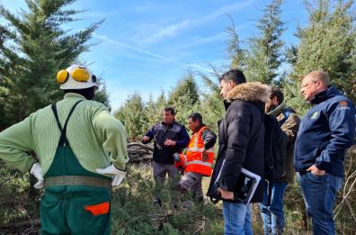 Minervino Murge, dopo i danni del fuoco torna a nuova vita il bosco di Acquatetta