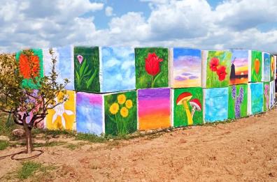 Bari dà il benvenuto a «Tulipark», un campo per vivere l'esperienza con i fiori come in Olanda