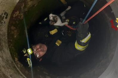 San Pietro Vernotico, gattino precipita in un pozzo: salvato dai vigili del fuoco