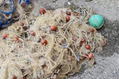 Barletta, l'operazione della Guardia costiera contro la pesca sotto costa 