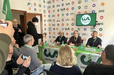 In picchiata la quotazione del grano duro a Foggia