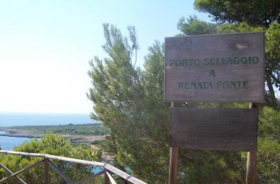 I 40 anni dall’omicidio di Renata Fonte: oggi tutta Italia ammira il suo coraggio