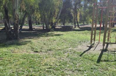Foggia, il piacere della «gita urbana» al bosco dell’Incoronata