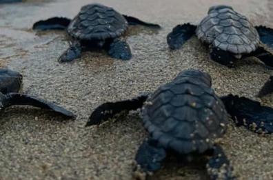 «Geo» in Salento visita il Museo di Storia Naturale