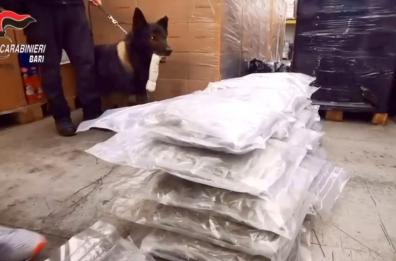 Cavallari preso con tre chili di droga patteggia quattro anni di reclusione
