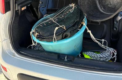 Campomarino, sequestrati 300 ricci: rigettati in mare, multato il pescatore