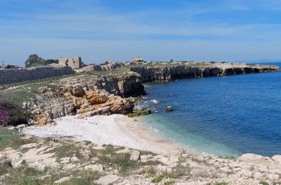 Bisceglie, muretti a secco e trulli in salvo: i privati valorizzano il litorale di Ripalta