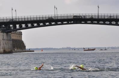 Pianeta Mare, per il nuoto in acque libere tuffi a Vieste e Taranto