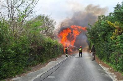 Incendio tra Peschici e Vieste: in fiamme 4 ettari di macchia mediterranea