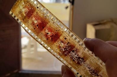 Bari, l'Archivio cinematografico di Abc custodito nel Cineporto