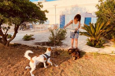 A Savelletri c'è Gus il «cane vicino» più gentile che ci sia