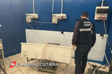 Polignano, sequestrati oltre 7 quintali di prodotti ittici non tracciabili 