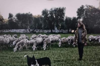 Da Carpino la storia di Luigi: 33enne diplomato, pastore di professione. «Mi fa stare bene»