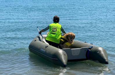 Bisceglie, assegnati i brevetti ai volontari della Scuola Cani Salvataggio Nautico 