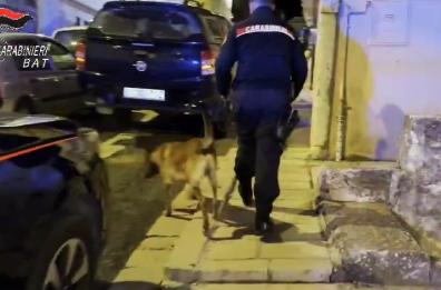 Cocaina in tre diverse piazze di spaccio a Minervino Murge: 14 arresti