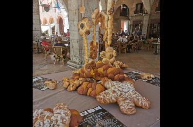 Il cammino del pane da Matera a Treviso